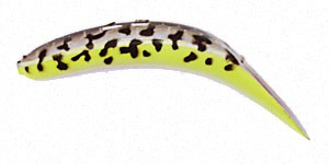 Original FlatFish color SCUL