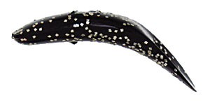 Original FlatFish color SK