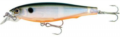 3D Minnow color 