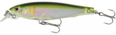 3D Minnow color MAY