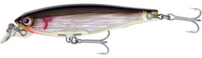 3D Minnow Flash Finish color BL