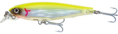 3D Minnow Flash Finish color CL