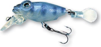 Aile Goby color GSYN