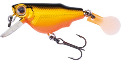 Aile Killifish color HGBO