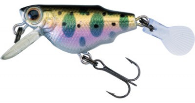 Aile Killifish color HYM