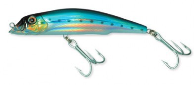 Aile Magnet DB color 