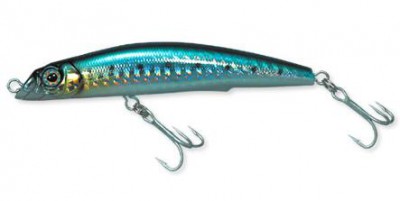 Aile Magnet DB color SHIW