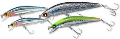 Aile Magnet Neo color 