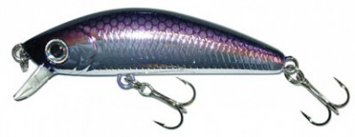 L-Minnow color M101