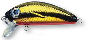 L-Minnow color M37