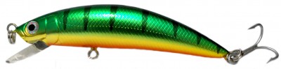 LX-Minnow color PC