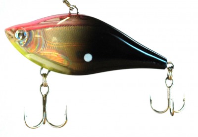 Quiet Wave Vibe color 