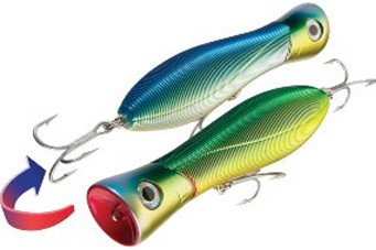 Sashimi Bull color CMDR