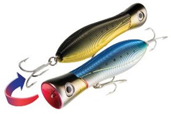 Sashimi Bull color CMIW