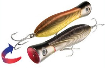 Sashimi Bull color CMS