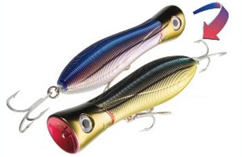 Sashimi Bull color CMSN