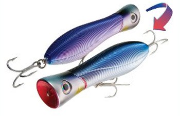 Sashimi Bull color CMWS