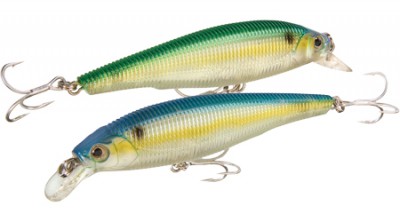 Sashimi Jerkbait color CGTS