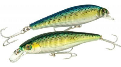 Sashimi Jerkbait color CMBM