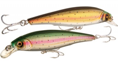 Sashimi Jerkbait color CMNM