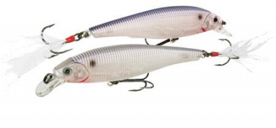 Sashimi Jerkbait FW color CGSH