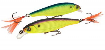 Sashimi Jerkbait FW color CMAC