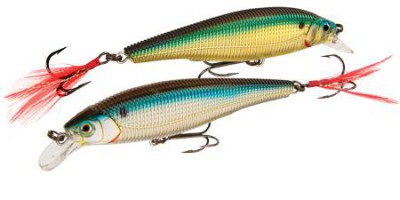 Sashimi Jerkbait FW color CMAS