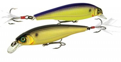 Sashimi Jerkbait FW color CMCP