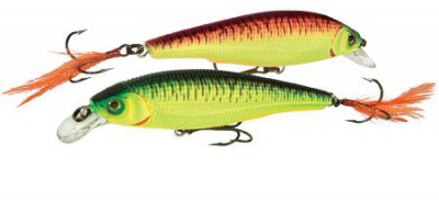 Sashimi Jerkbait FW color CMFT