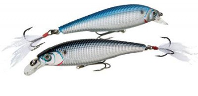 Sashimi Jerkbait FW color CMSH