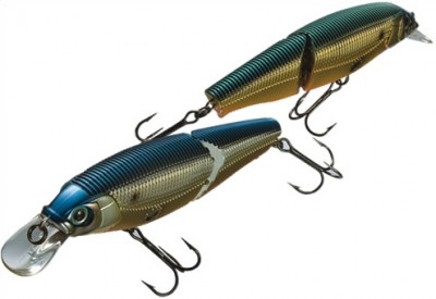 Sashimi Jointed FW color 