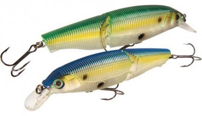 Sashimi Jointed FW color CGTS