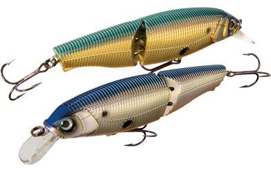 Sashimi Jointed FW color CMTS