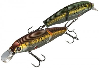 Sashimi Jointed SW color 