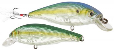 Sashimi Minnow color CGTS