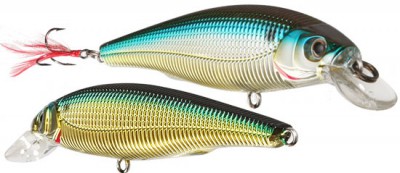 Sashimi Minnow color CMAS