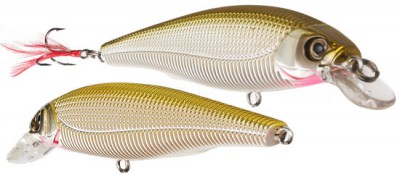 Sashimi Minnow color CMOV