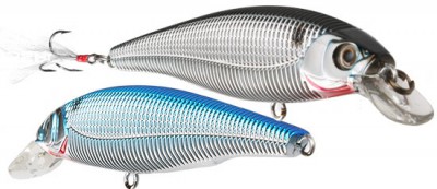 Sashimi Minnow color CMSH