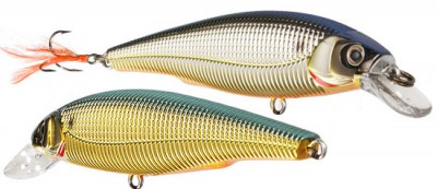 Sashimi Minnow color CMTS
