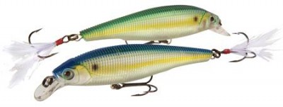 Sashimi Minnow FW color CGTS