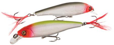Sashimi Minnow FW color CMC