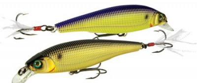 Sashimi Minnow FW color CMCP