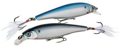 Sashimi Minnow FW color CMSH