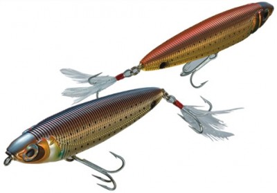 Sashimi Pencil SW color 