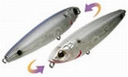 Sashimi Pencil SW color CGSH