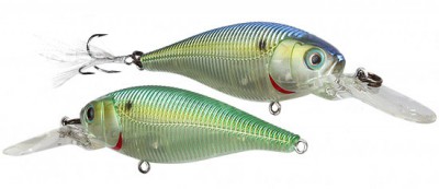 Sashimi Shad color CGTS