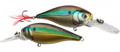 Sashimi Shad color CMAS