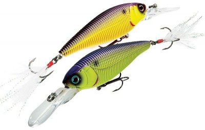 Sashimi Shad color CMCP