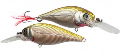 Sashimi Shad color CMOV