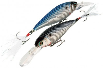 Sashimi Shad color CMSH